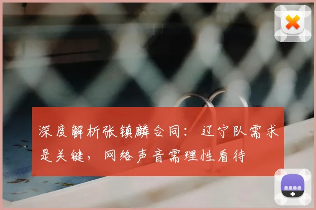 深度解析张镇麟合同：辽宁队需求是关键，网络声音需理性看待