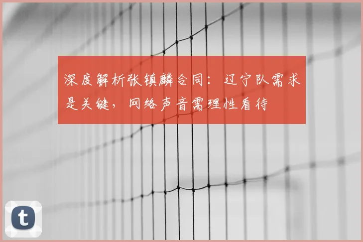 深度解析张镇麟合同：辽宁队需求是关键，网络声音需理性看待